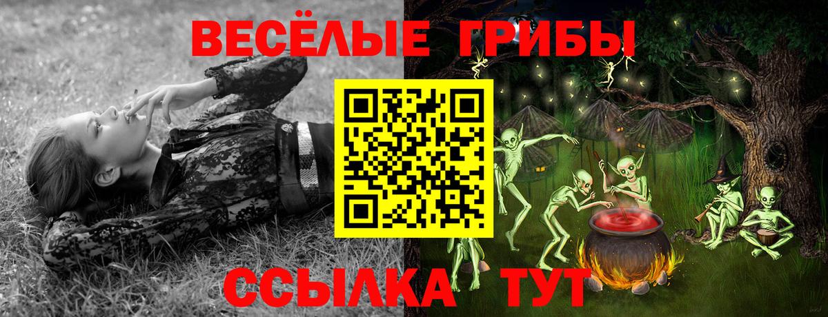 Галлюциногенные грибы MAGIC MUSHROOMS  Псилоцибиновые грибы прущие грибы  Астрахань  Вход с VPN 